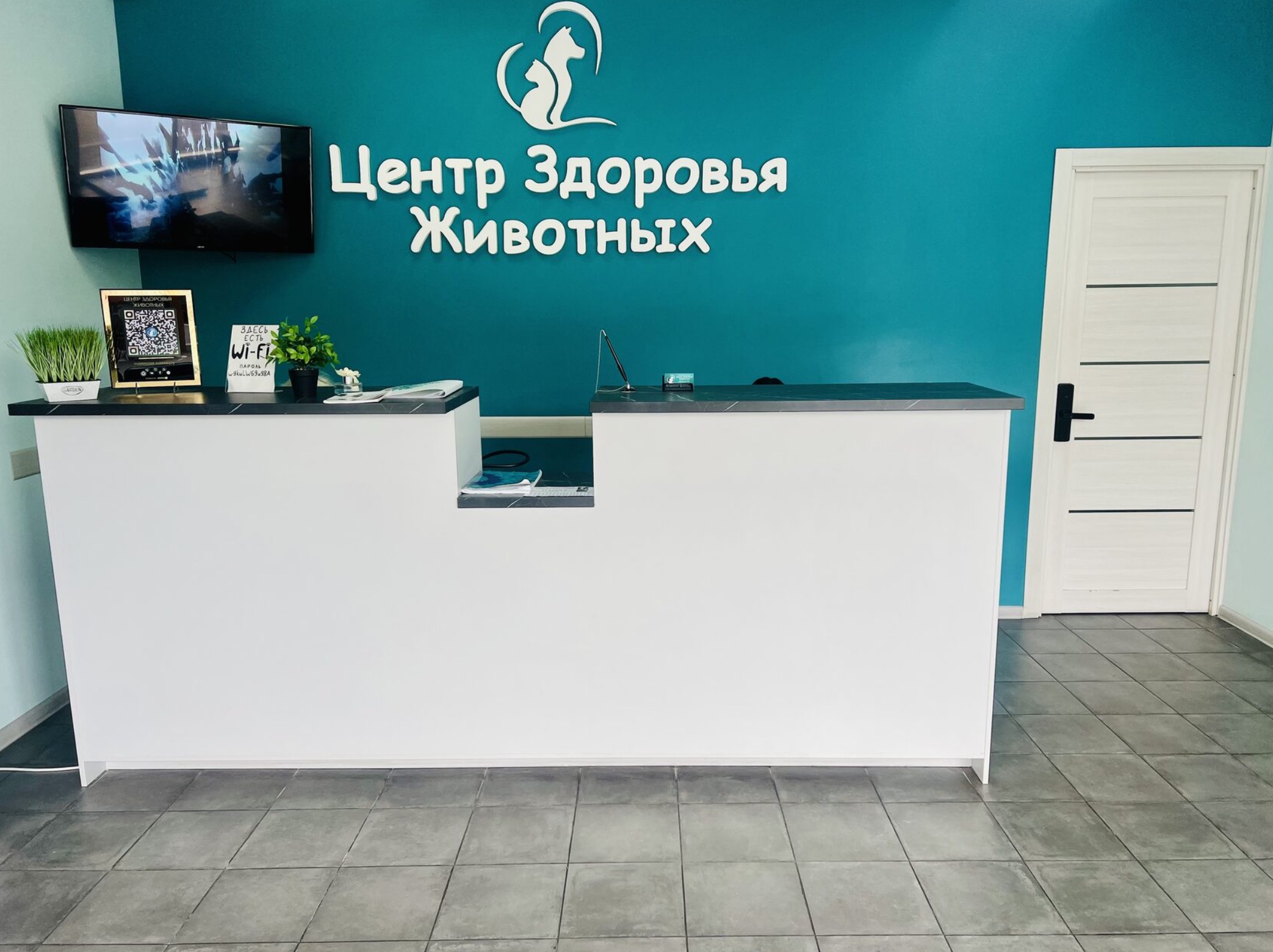 Фото клиники 2