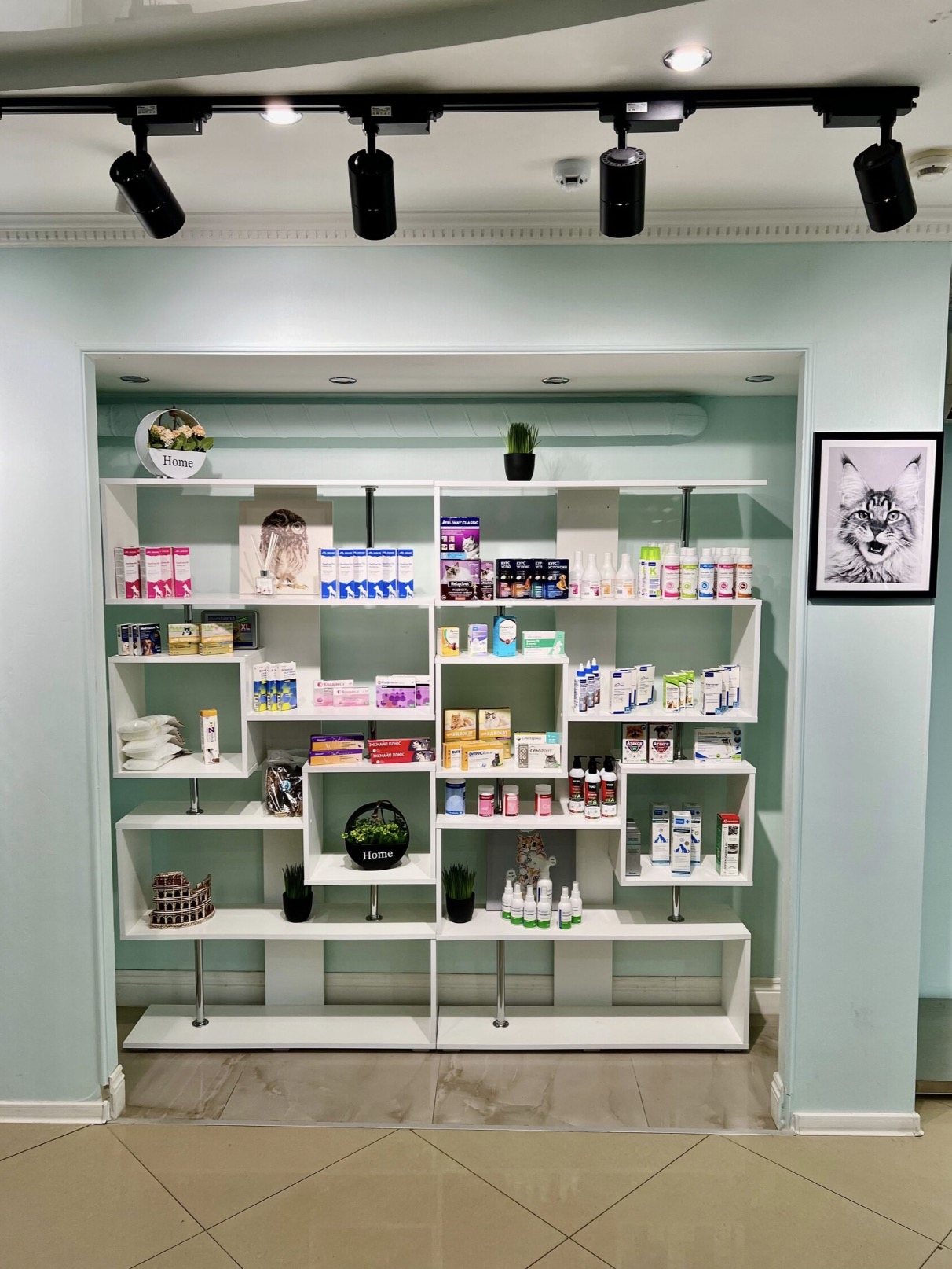 Фото клиники 4