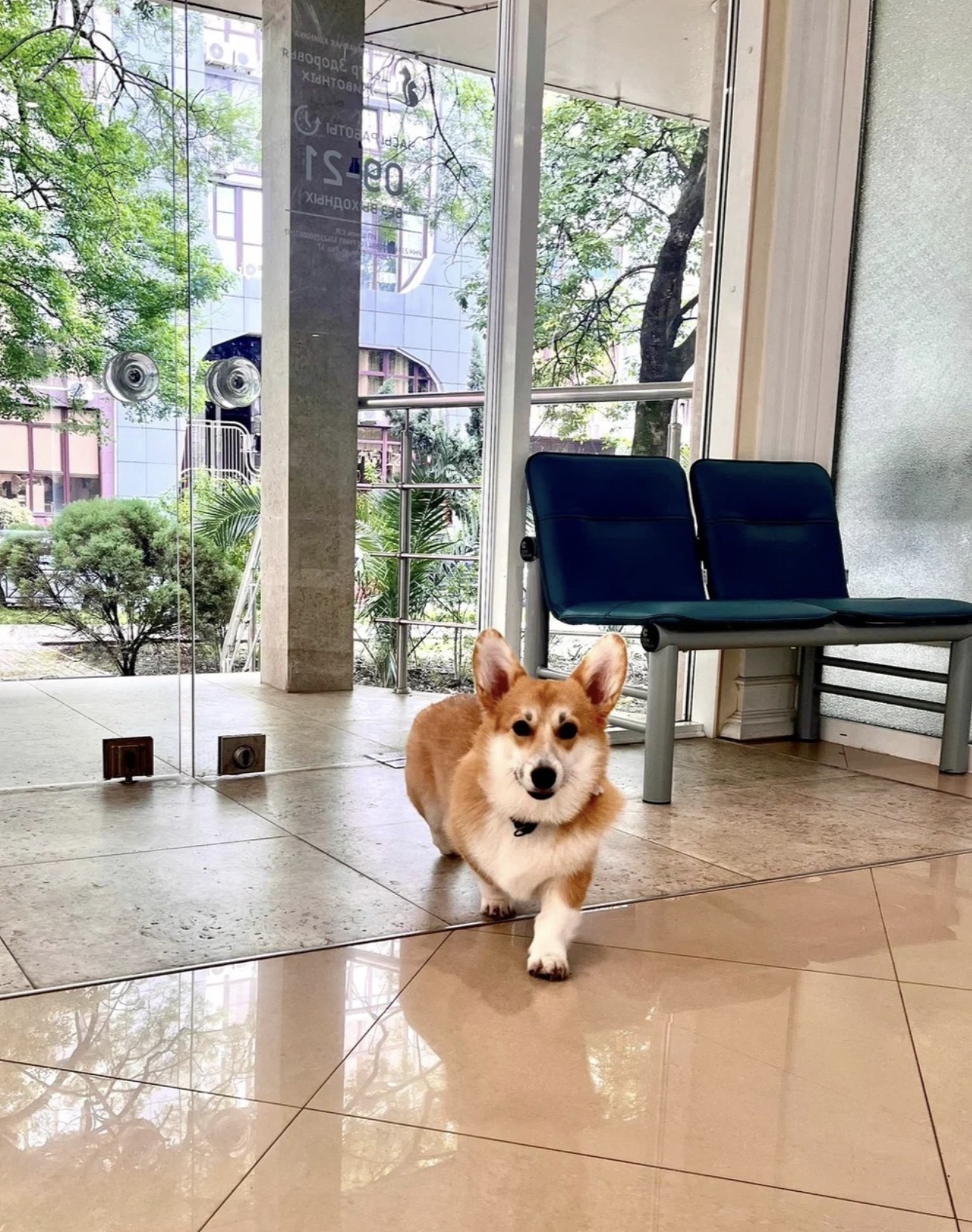 Фото клиники 9