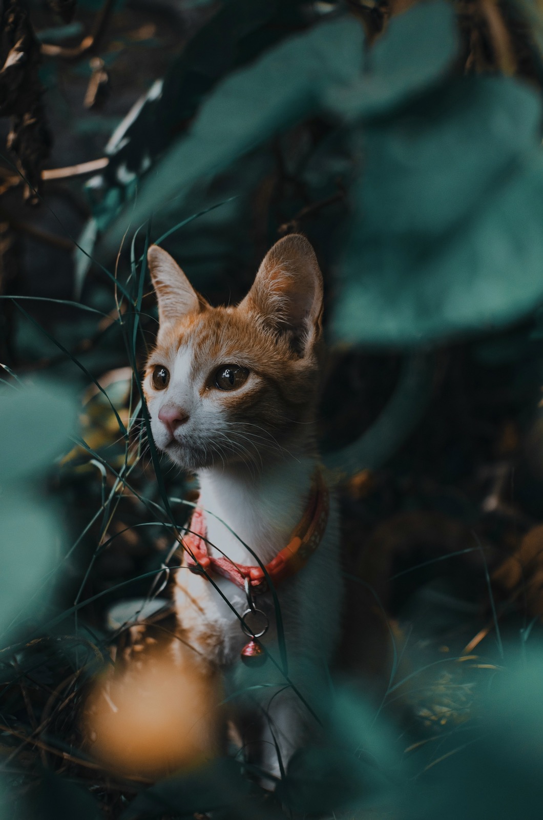 Иконка услуги