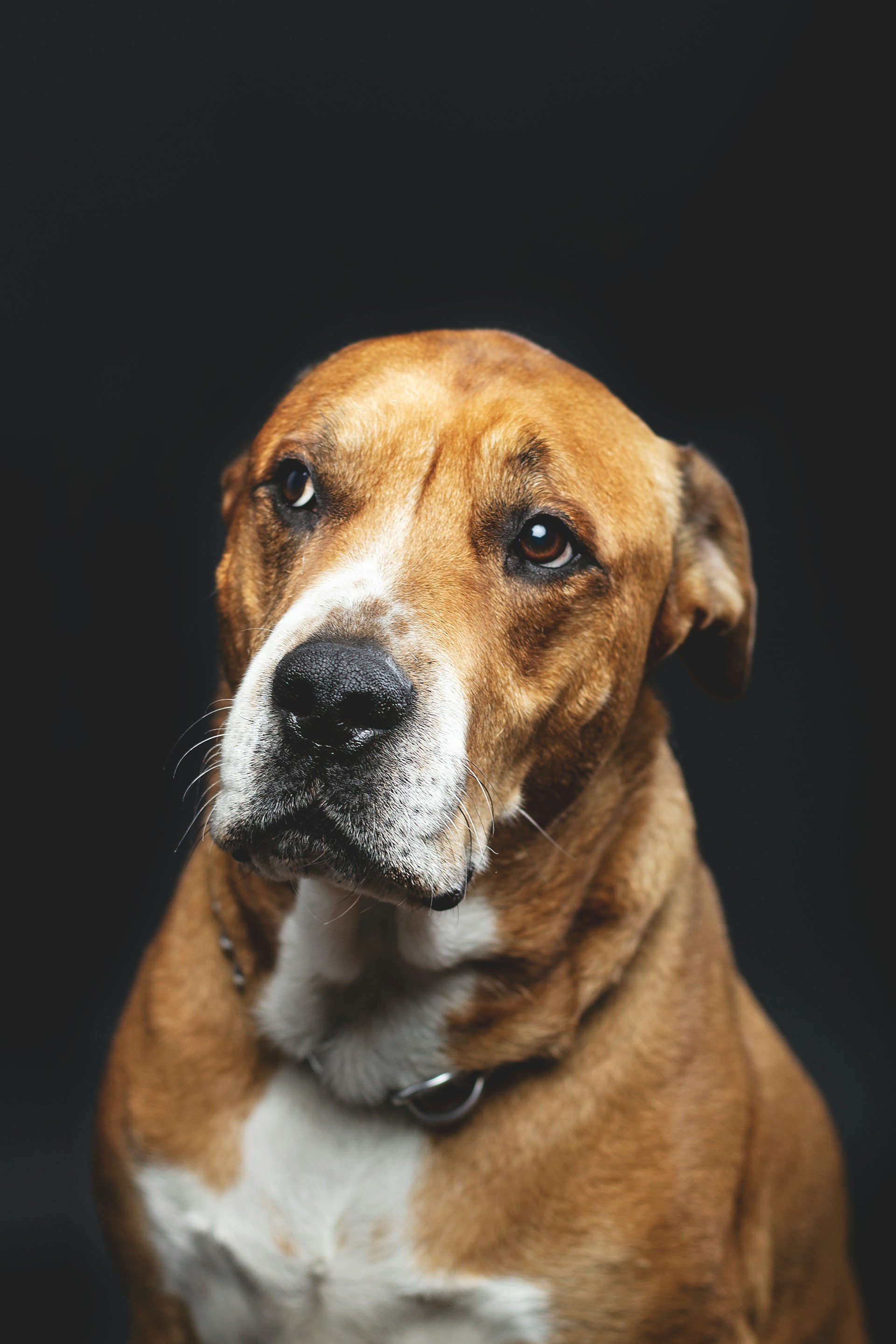 Хирургия и травматология