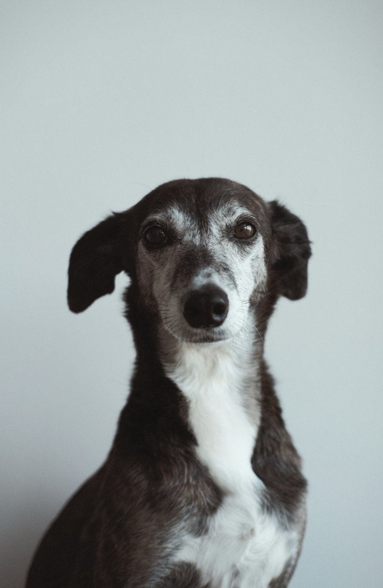 Стоматология