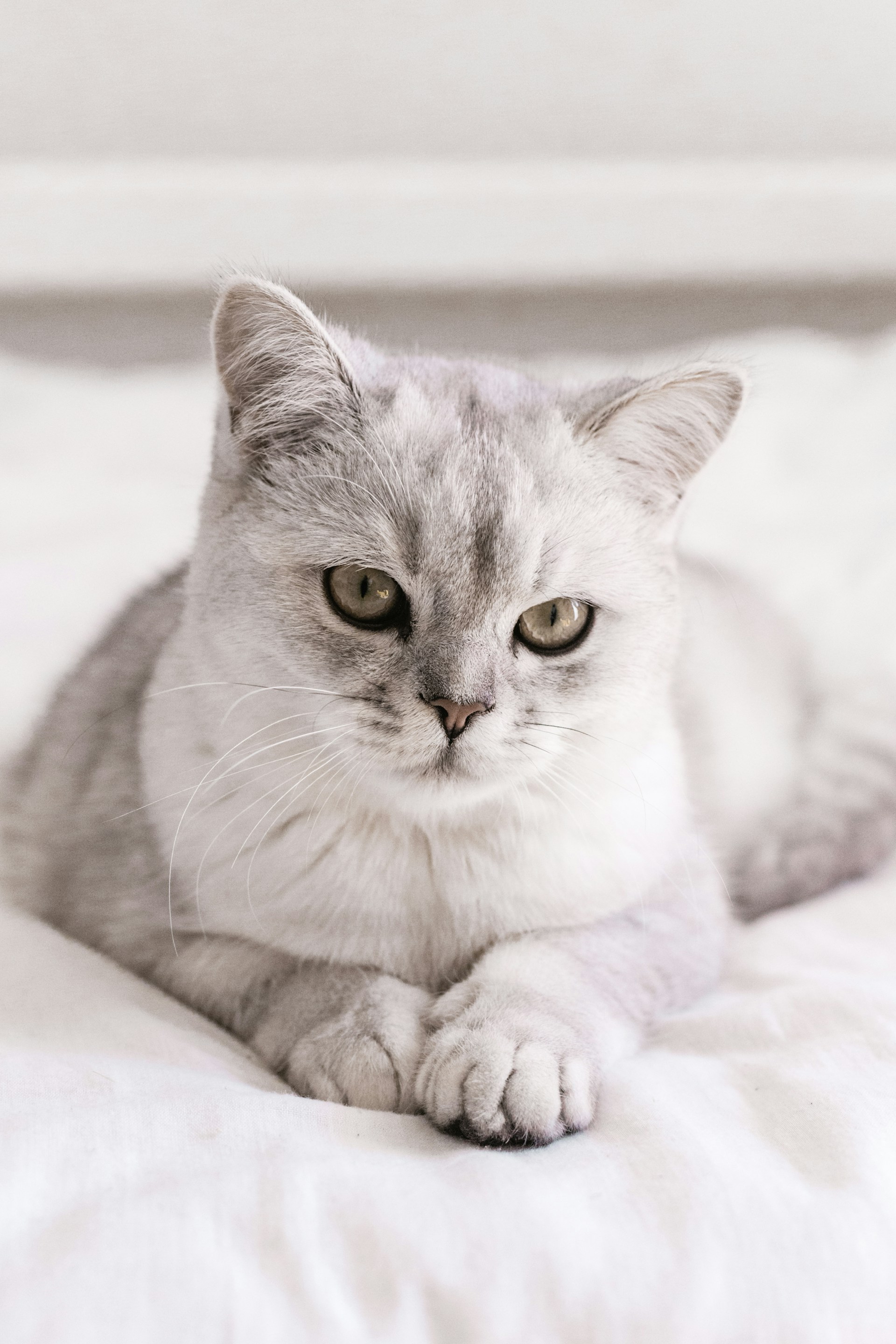 Стационар и реанимация